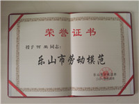 何荣—乐山市劳动模范