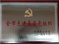 全市先进基层党组织